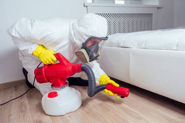 Best Pest Inspection Near Me  in Holly Springs, GA